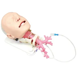 Difficult Airway Management Bronchoscopy Model